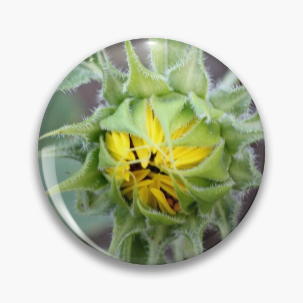 Item preview, Sunflower Bud designed and sold by Cynthia48.