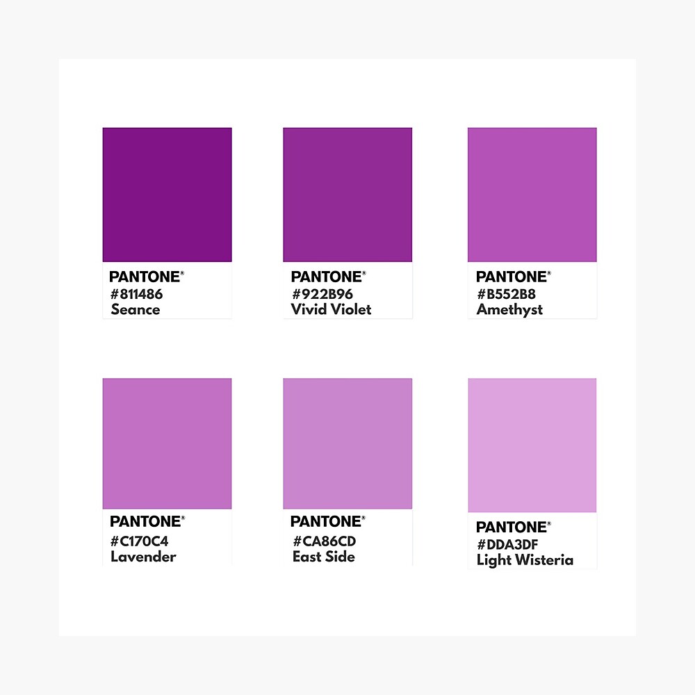 Pantone Purple | ubicaciondepersonas.cdmx.gob.mx
