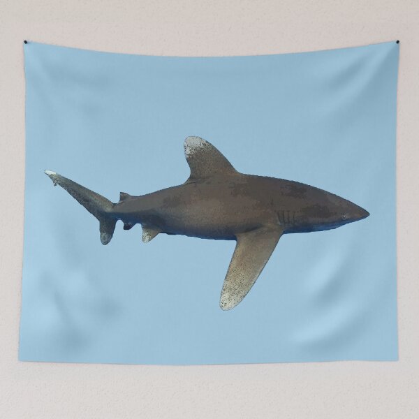 Item preview, Oceanic Whitetip Shark Color Print  designed and sold by designsasstultd.