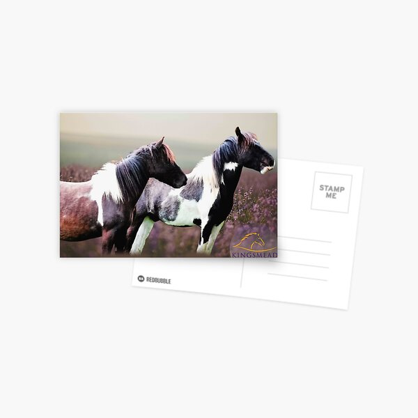 Haribo and Roxy Collection Postcard