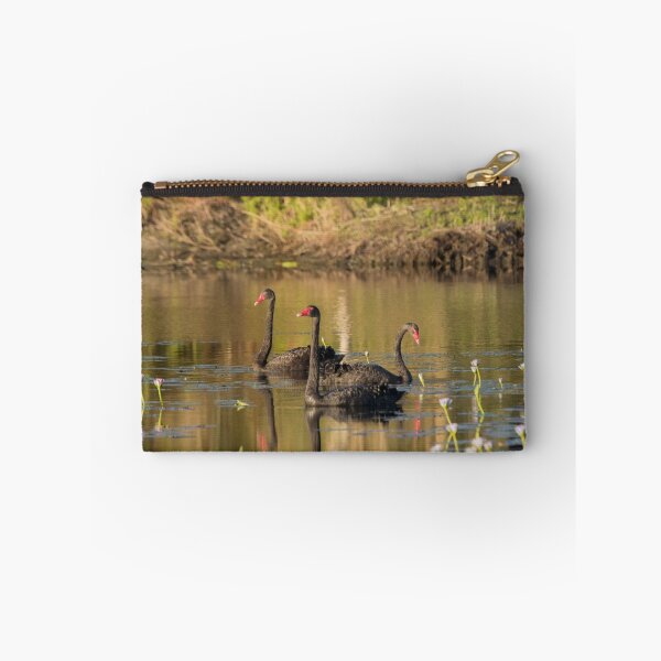 Item preview, Sunset Cygnets designed and sold by byronbackyard.