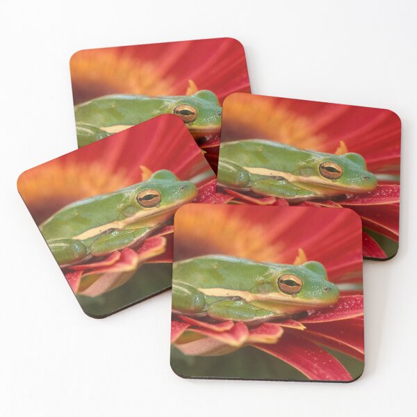 Item preview, Green Tree Frog on a Red Flower designed and sold by ScienceSource.