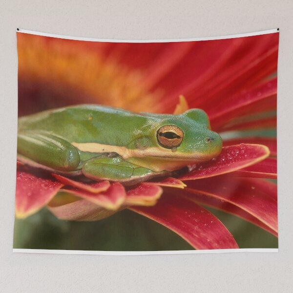 Item preview, Green Tree Frog on a Red Flower designed and sold by ScienceSource.