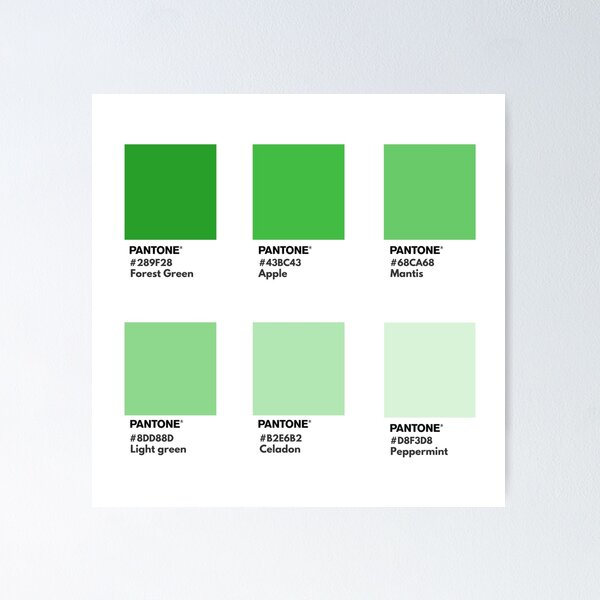 Premium Photo  Light green color toned vertical sheet of paper