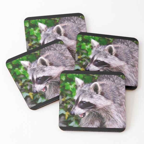 Item preview, Smart raccoon designed and sold by Glineur.
