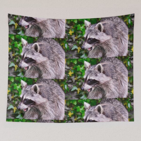 Item preview, Smart raccoon designed and sold by Glineur.