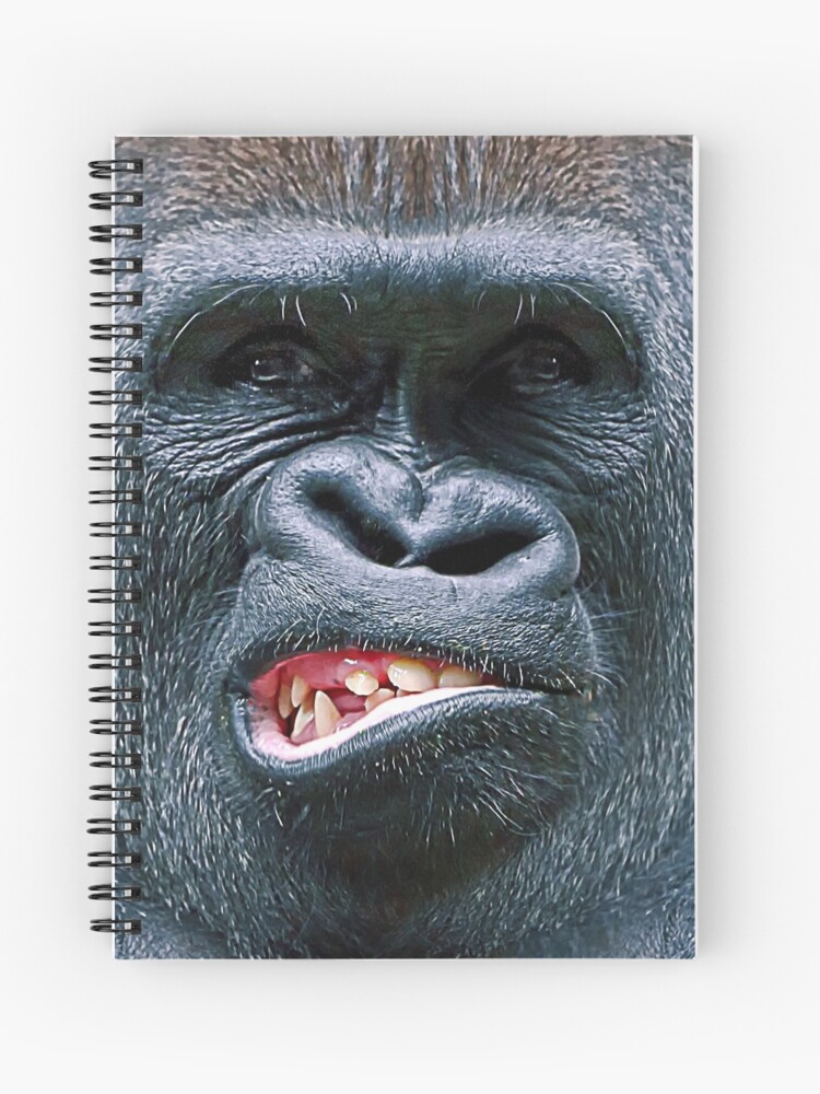 Silverback Western Lowland Gorilla Smiles Animals Gifts Greeting Card for  Sale by Dolphin Graphic