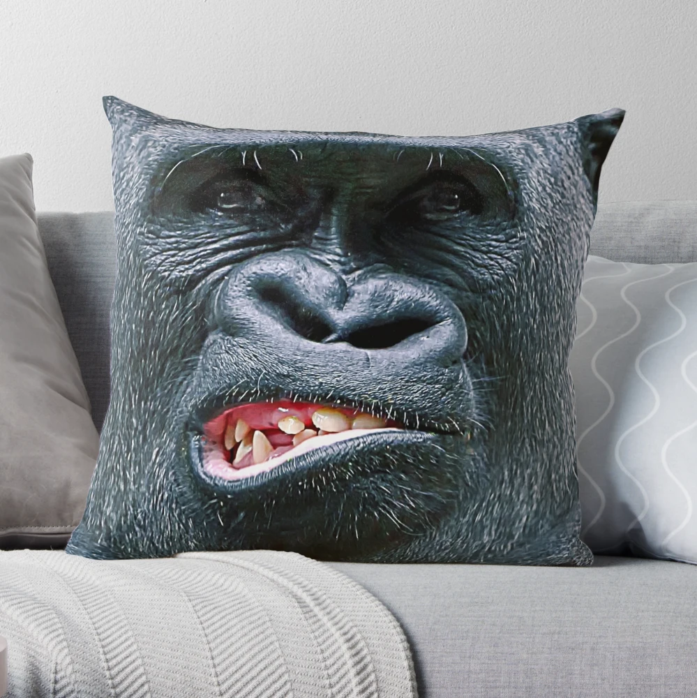 https://ih1.redbubble.net/image.1897761336.1468/throwpillow,large,1000x-bg,f8f8f8-c,0,200,1000,1000.u2.webp