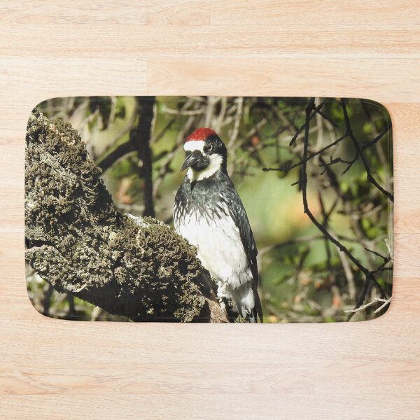 Item preview, Acorn woodpecker, birds, wildlife, gifts designed and sold by Sandra O'Toole.
