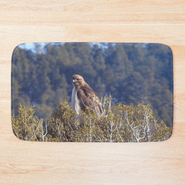 Item preview, Red-tailed hawk, birds, wildlife, gifts designed and sold by Sandra O'Toole.