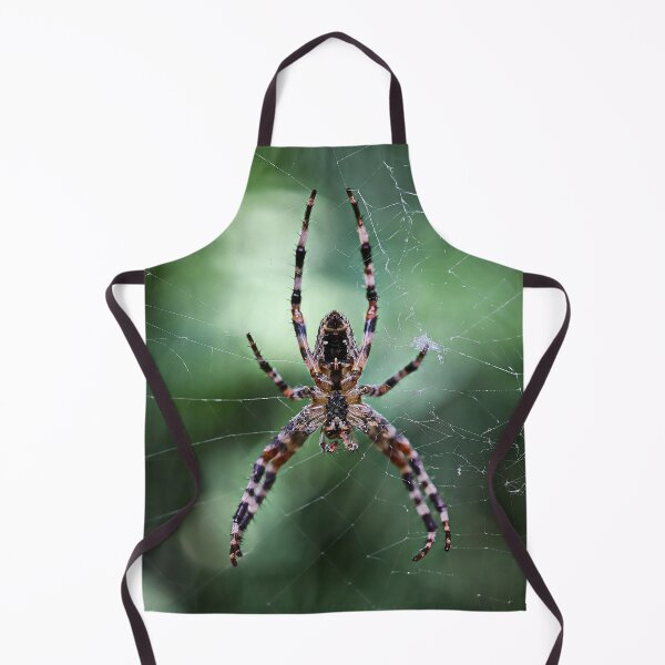 Item preview, Cross Spider Macro on the Web - Cute Spiders Gifts designed and sold by r-silver.