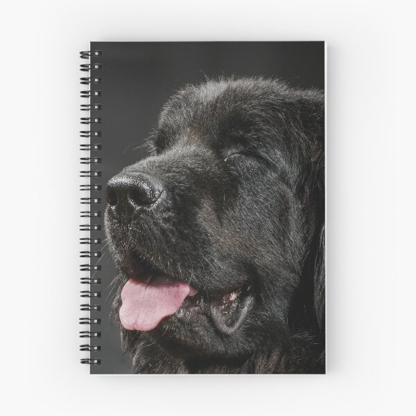 Item preview, Portrait of big black water-dog, studio shooting, isolated on dark background designed and sold by Alexander Sorokopud.