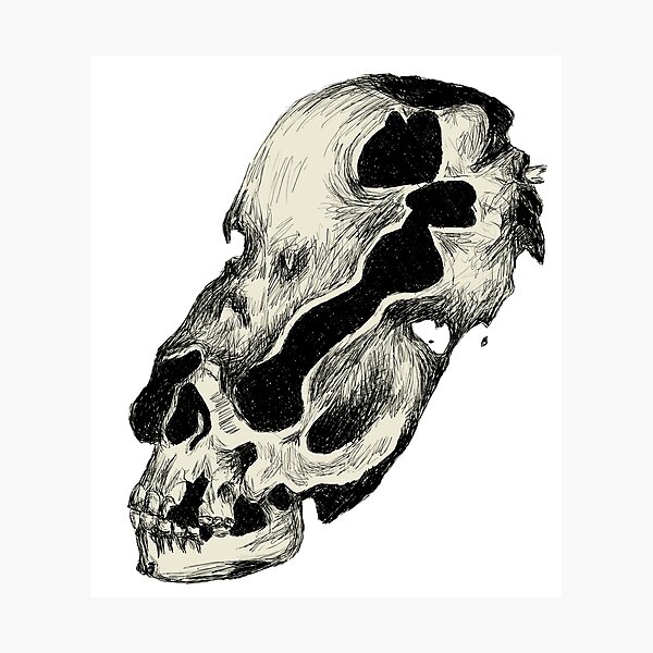 Item preview, Morphed Skulls designed and sold by Grace KG.