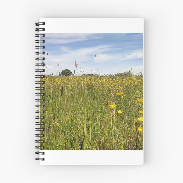 Item preview, Field of Yellow Buttercups designed and sold by Brimwood.