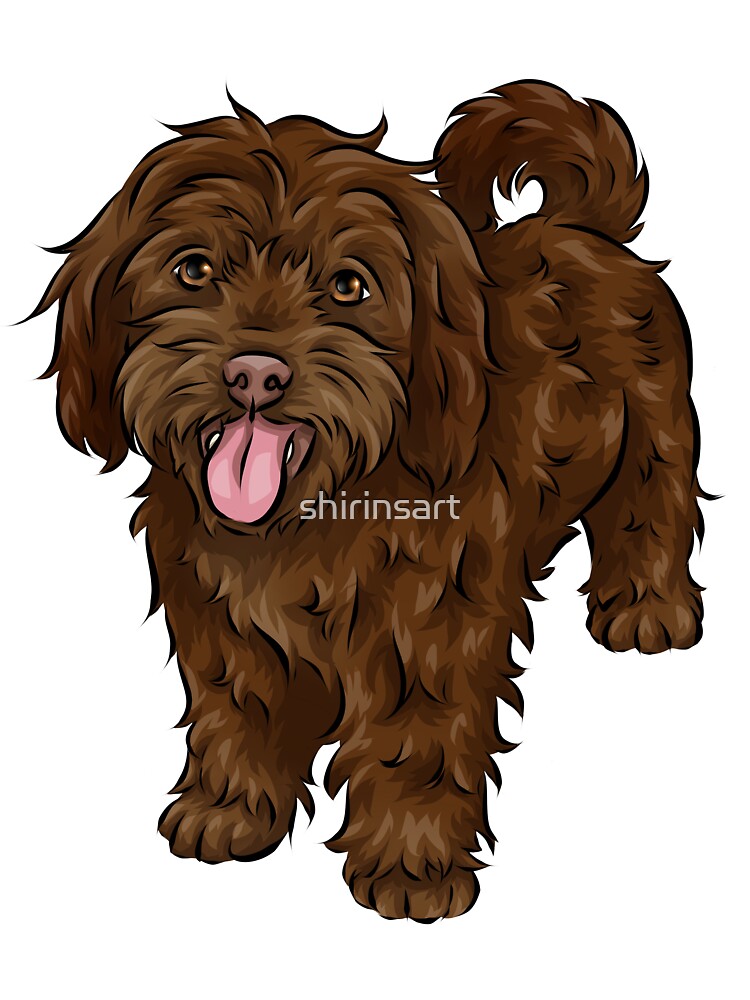Cute Cavapoo Chocolate Cute Dog Art