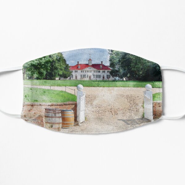 Mount Vernon Watercolor Mask
