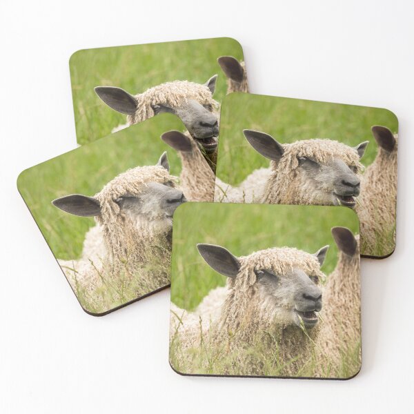 Item preview, Happy Lambs,  Wensleydale Sheep designed and sold by Jane Stanley Photography.