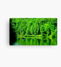Fishing on Chris Green Lake ^ Canvas Print