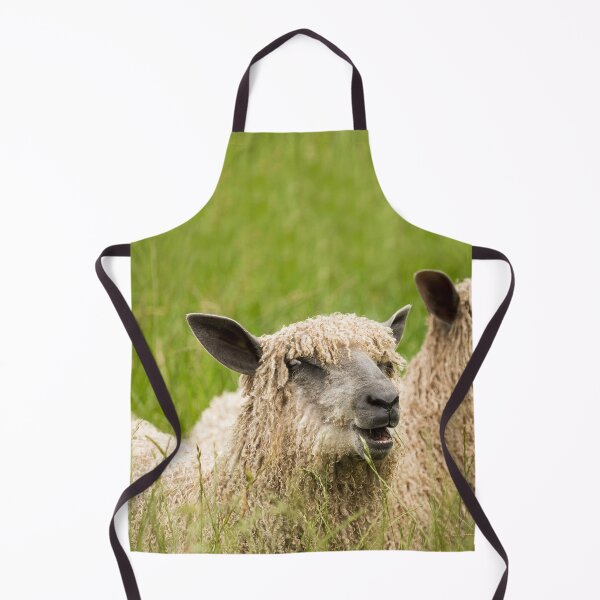 Item preview, Happy Lambs, Wensleydale Sheep designed and sold by Jane Stanley Photography.