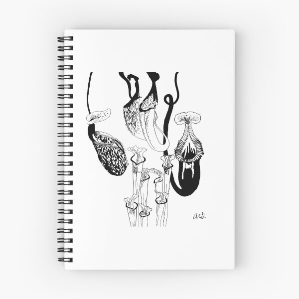 Item preview, Nepenthes and Sarracenia Illustration designed and sold by Anna Goodin.