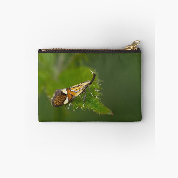 Item preview, Micro moth Alabonia geoffrella designed and sold by Sue Robinson.