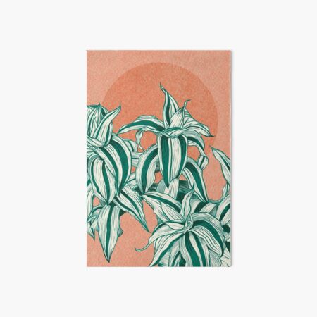Sunset between leaves Art Board Print