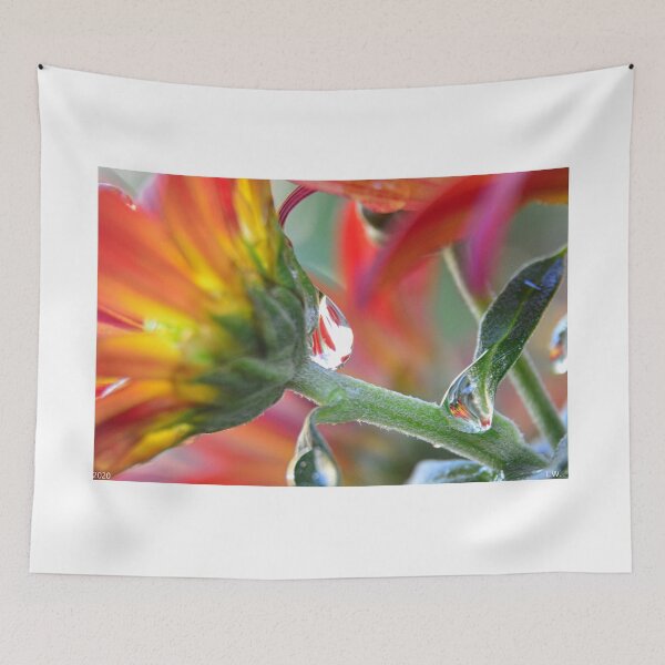 Item preview, Chrysanthemum Pearl designed and sold by LisaWootenPhoto.