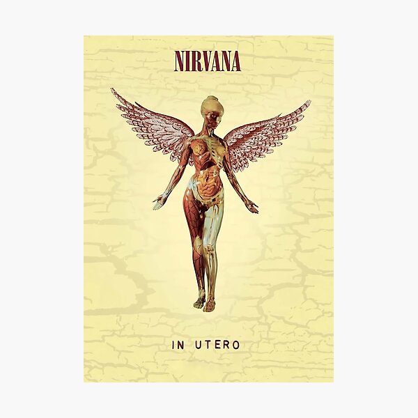 In Utero Photographic Print