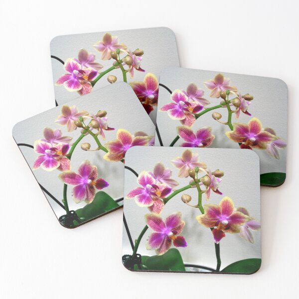 Artikelvorschau, LILA UND GELBE ORCHIDEE entworfen und verkauft von JoAnnHayden.