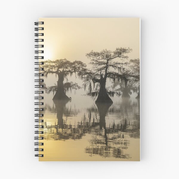 Item preview, Atchafalaya Basin, Louisiana, Beautiful Landscape designed and sold by ScienceSource.