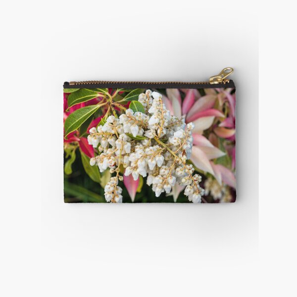 Item preview, Colourful Pieris bush flowers and leaves in Spring in a springtime garden designed and sold by Cameranick.