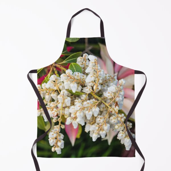 Item preview, Colourful Pieris bush flowers and leaves in Spring in a springtime garden designed and sold by Cameranick.