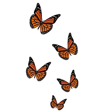 Aperçu de l'œuvre Papillon de CatsyDesign