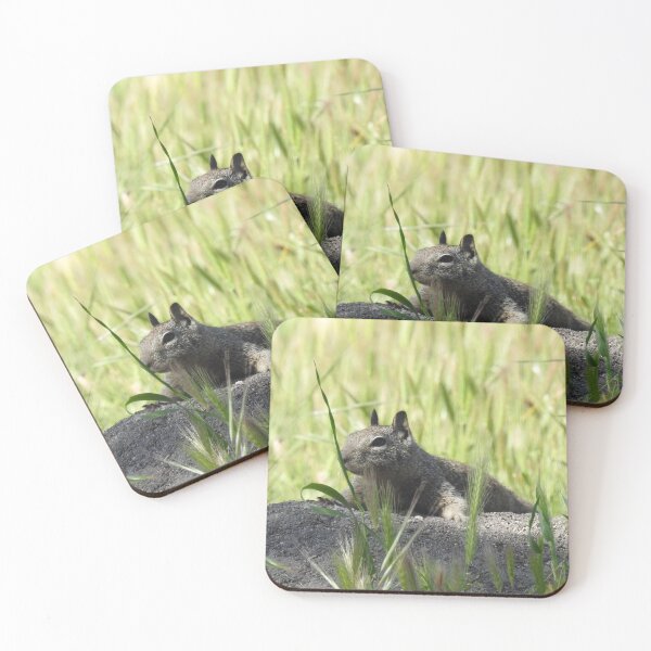 Item preview, Ground squirrel, squirrels, animals, wildlife, gifts designed and sold by Sandra O'Toole.