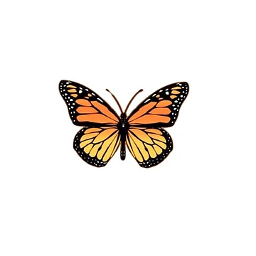Aperçu de l'œuvre papillon de CatsyDesign