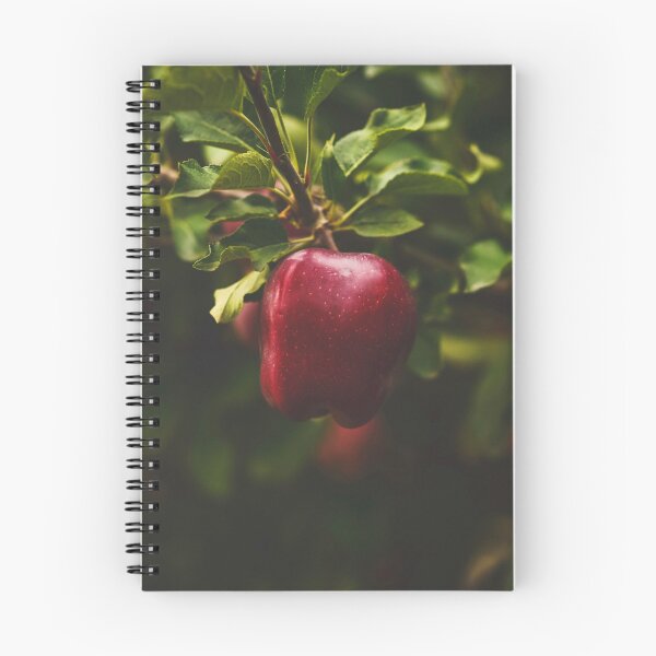 Item preview, Apple ready for harvest designed and sold by Heather Stokes.