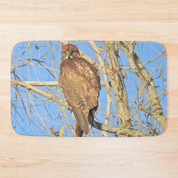 Item preview, Red-tailed hawk, birds, wildlife, gifts designed and sold by Sandra O'Toole.