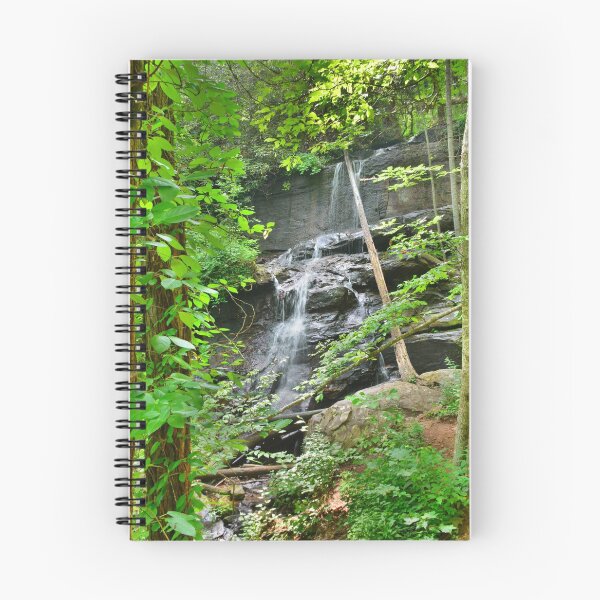 Item preview, Lower Desoto Falls Georgia designed and sold by LisaWootenPhoto.