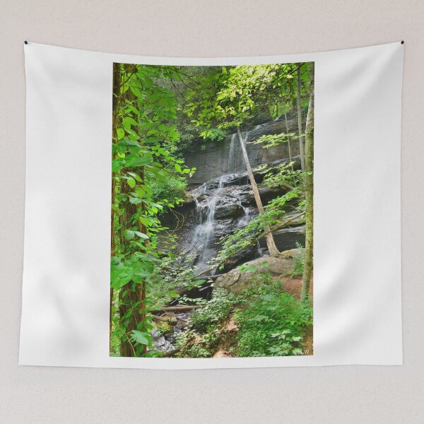 Item preview, Lower Desoto Falls Georgia designed and sold by LisaWootenPhoto.