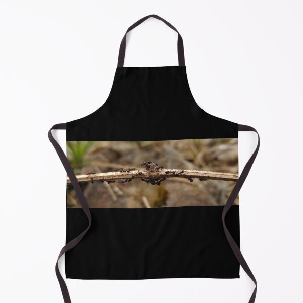 Item preview, Grid Lock - a Photograph of Busy Ants designed and sold by Robert Link.