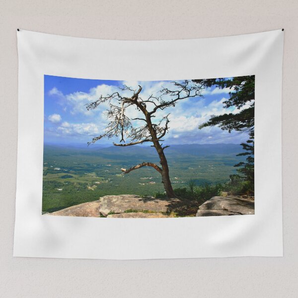 Item preview, A Lone Tree Atop Yonah Mountain Georgia designed and sold by LisaWootenPhoto.