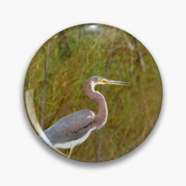 Item preview, Little Blue Heron designed and sold by LisaWootenPhoto.