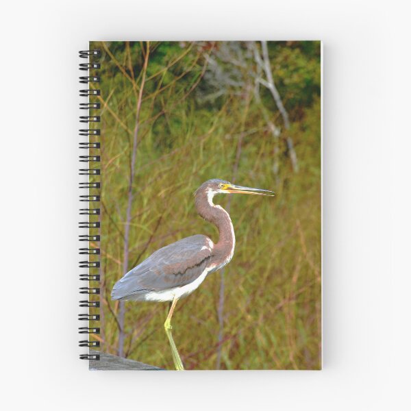 Item preview, Little Blue Heron designed and sold by LisaWootenPhoto.