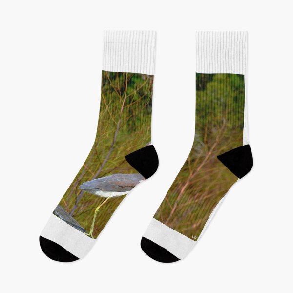 Item preview, Little Blue Heron designed and sold by LisaWootenPhoto.