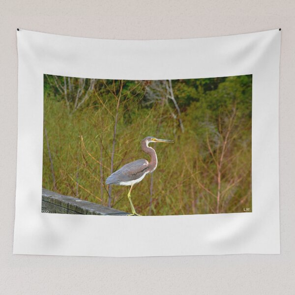 Item preview, Little Blue Heron designed and sold by LisaWootenPhoto.