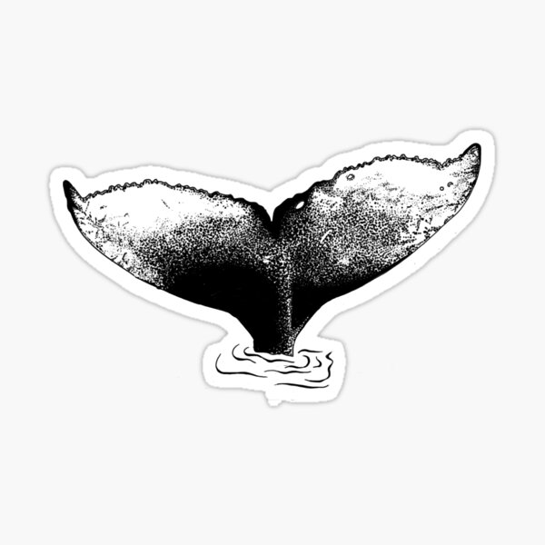 Item preview, Humpback Whale Tail designed and sold by camilashannon.