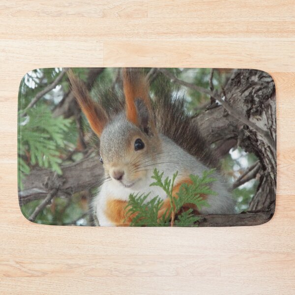 Item preview, Squirrel winter designed and sold by TatianaAn.