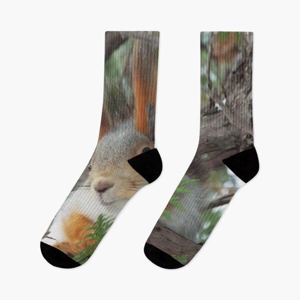 Item preview, Squirrel winter designed and sold by TatianaAn.