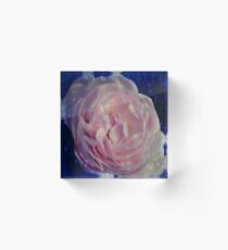Rose in the moon shine... Acrylic Block