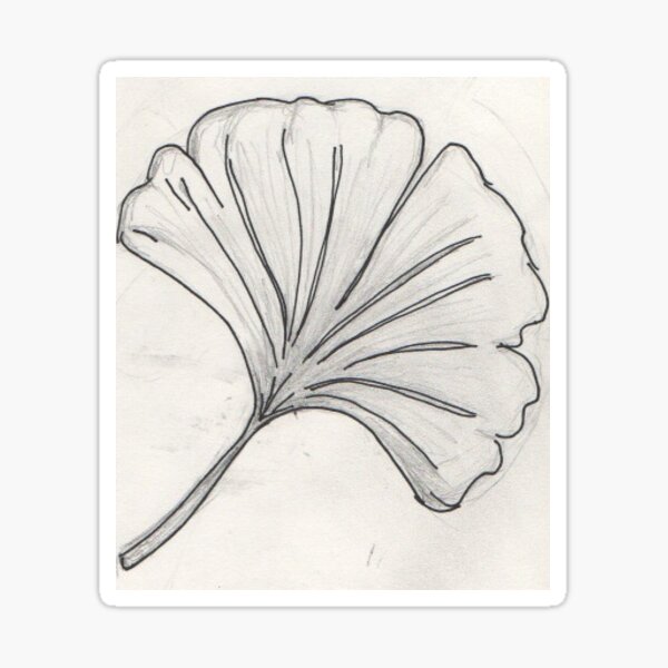 Gingko Leaf Sticker